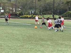 awHh7UmRQyimJJiN1VzLNQ