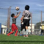 5921A959-5C76-475D-8E88-8084D1132642