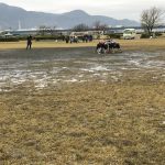 B69E2D83-42F4-4200-8B4F-D5D3ECD273B7